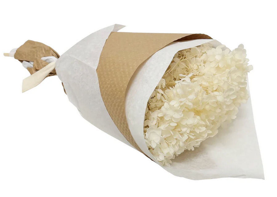 Ivory Preserved Hydrangea